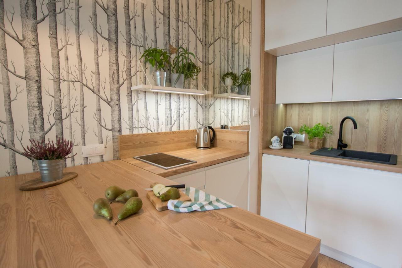 Rakowicka Apartment Краков Экстерьер фото